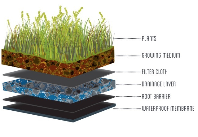 Green Roof Layers