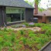 Forest Hill Green Roof thumbnail