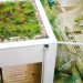 Little Italy green roof thumbnail